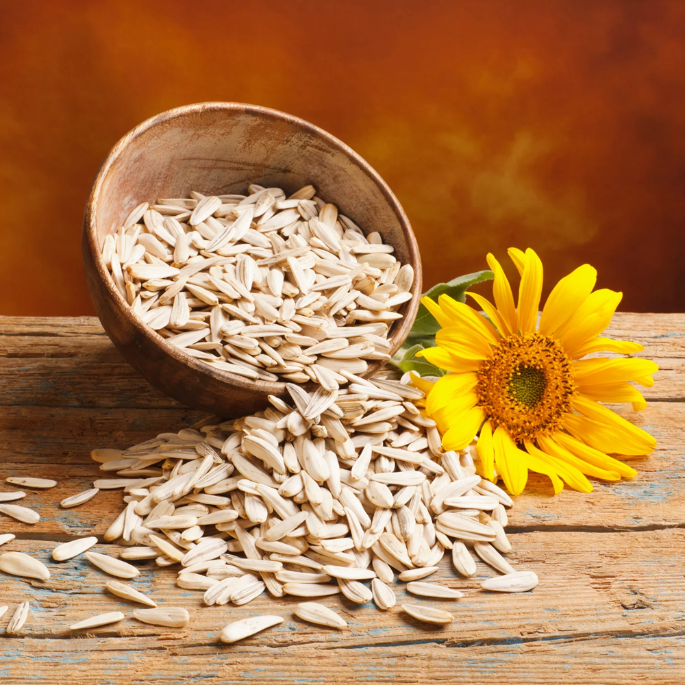 Sunflower Seeds